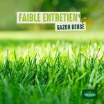 Rustique - Gazon Rustique - 3 kg - image